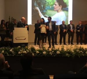 premio verona